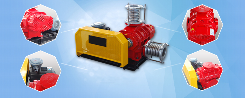AC series anti-corrosion Roots blower