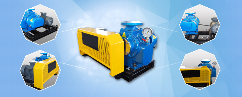 WT series water treatment Roots fan